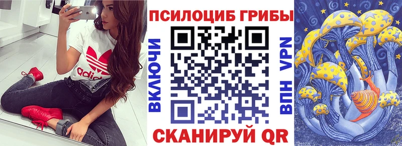 Галлюциногенные грибы прущие грибы Махачкала
