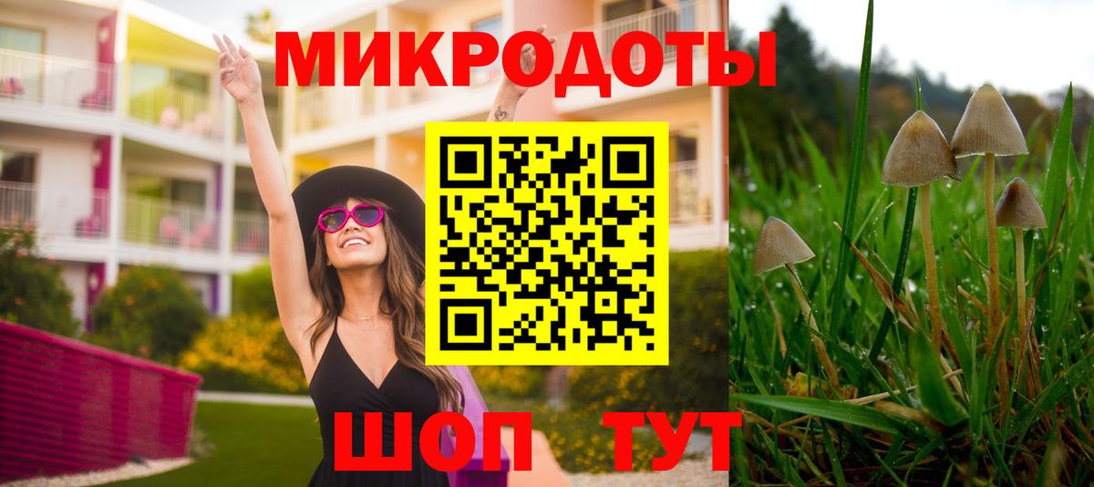 Псилоцибиновые грибы прущие грибы Махачкала